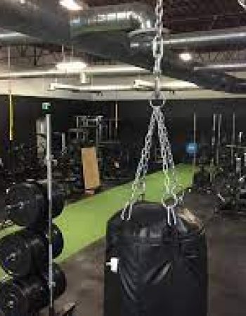 Movement Fitness / Gainesville, Va