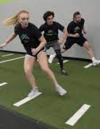 Movement Fitness / Gainesville, Va